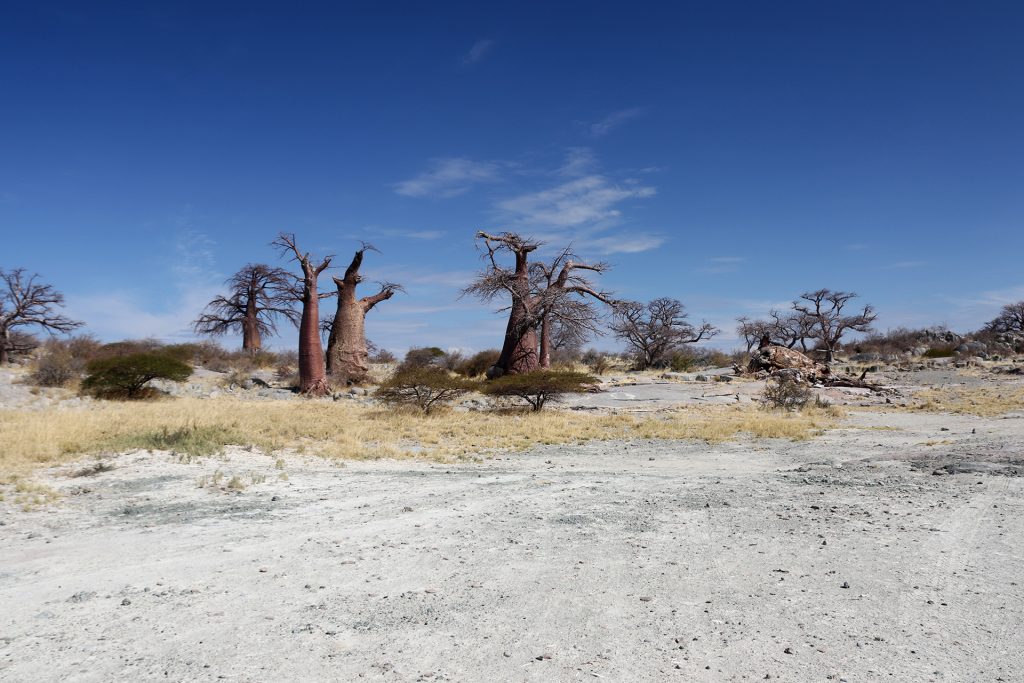 Botswana