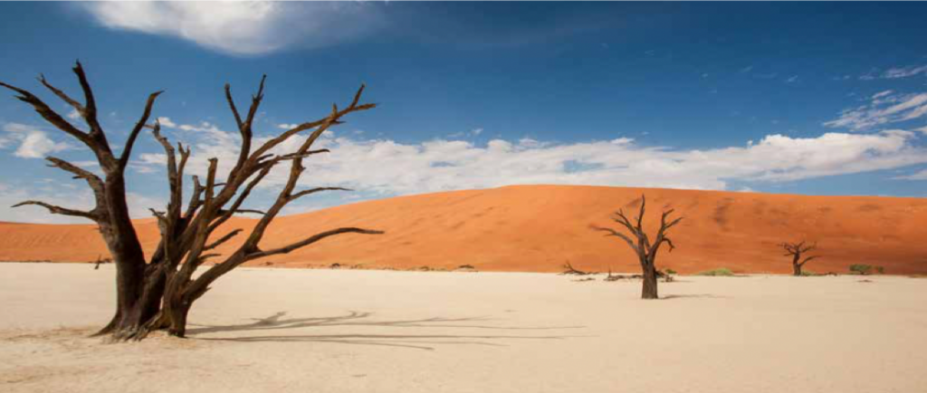 NAMIBIA: Deserts and savannah