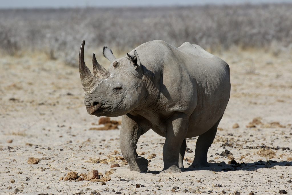 Namibia