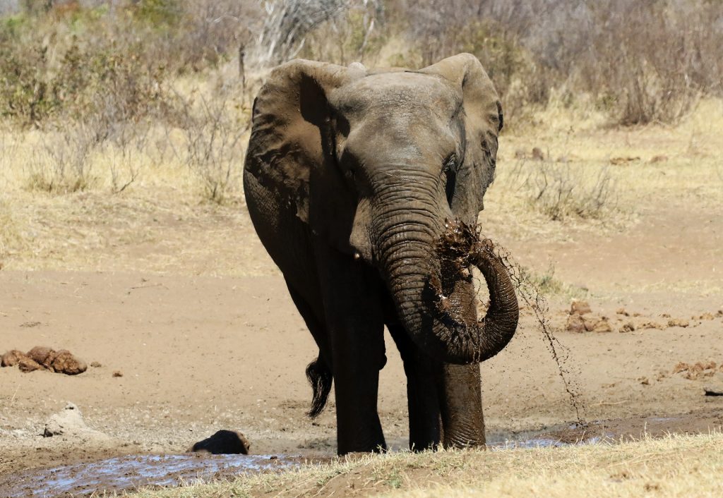 Namibia