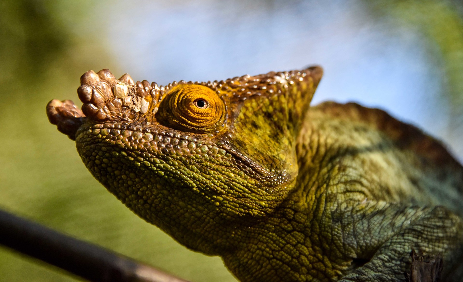 MADAGASCAR: Il lusso selvaggio