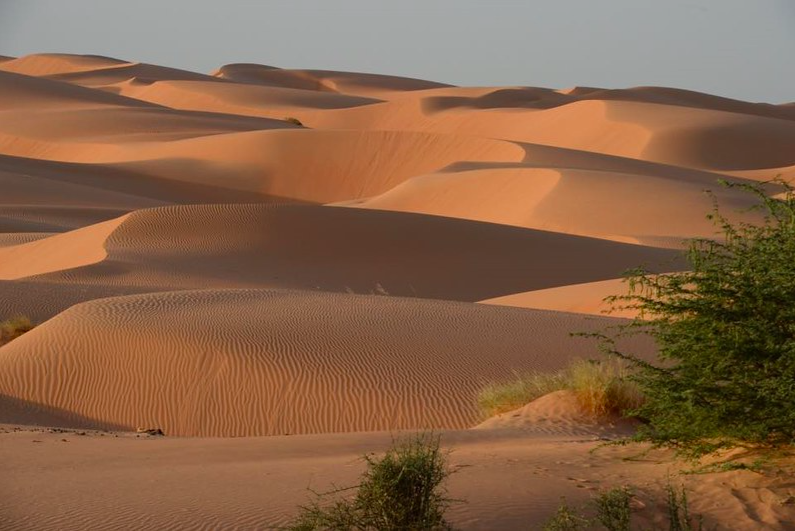 MAURITANIA: Dune e oasi