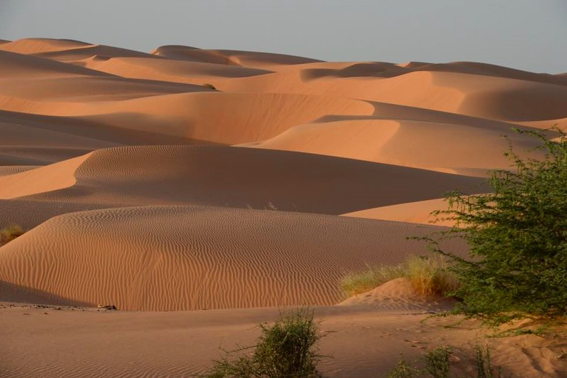 mauritania