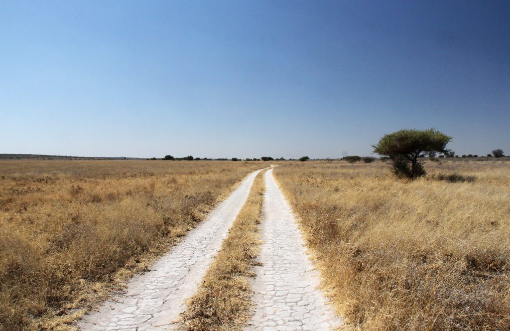 Botswana Kalahari