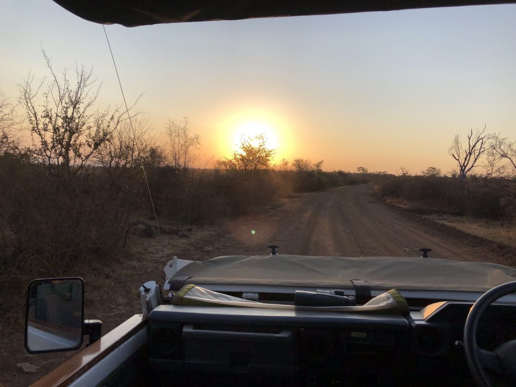 Rockfig Lodge Madikwe GR