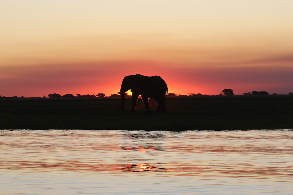 botswana in campo mobile