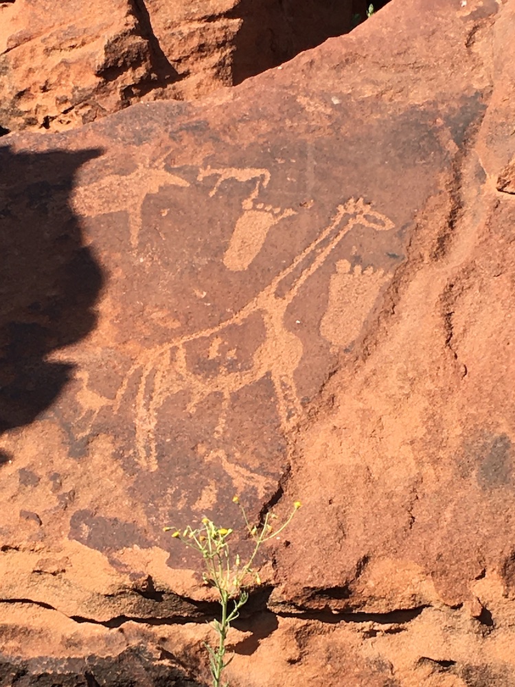 Namibian sun art rock