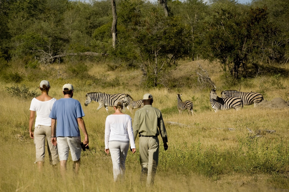 walking safari - safari a piedi - attività Kruger Sudafrica