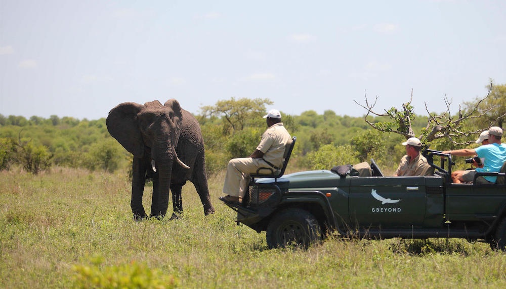 Open jeep safari - attività Kruger Sudafrica