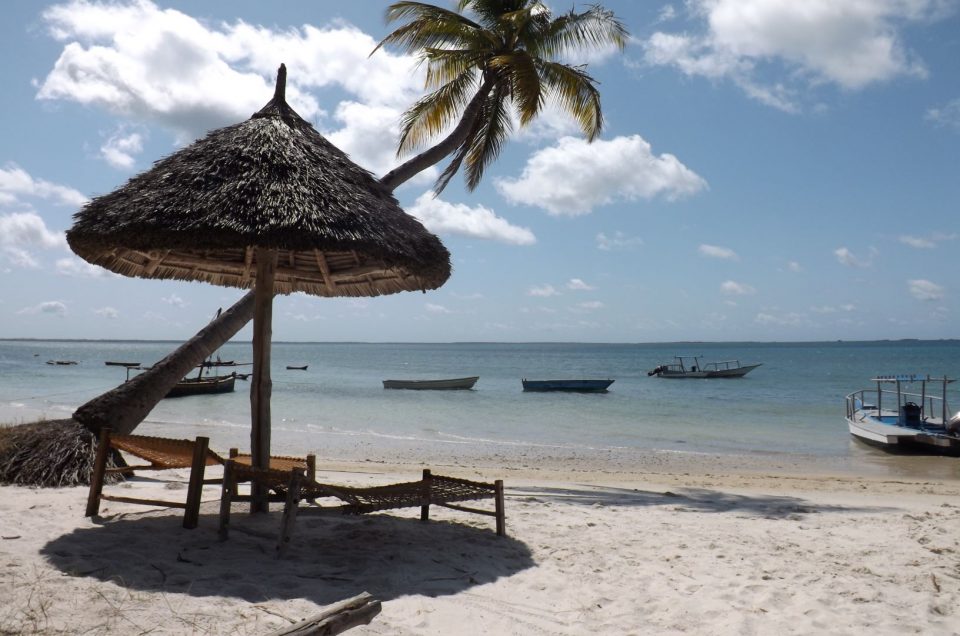 Exploring the Spice Islands: A Tropical Adventure in Tanzania